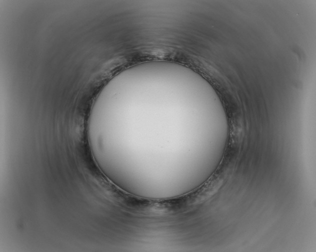 X0000113760656200910141049