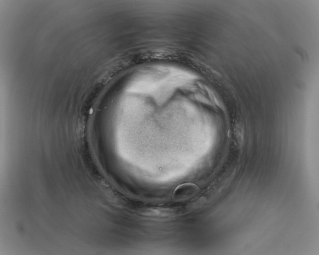 X0000113760657200910141049