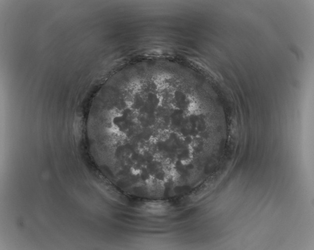 X0000113760659200910141049