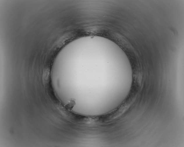 X0000113760660200910141049