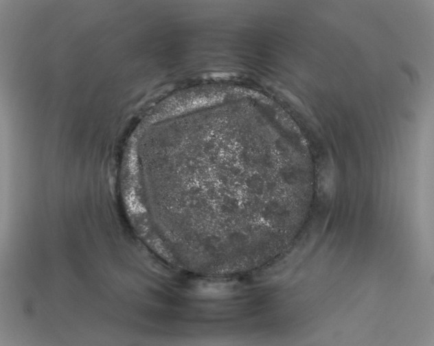 X0000113760661200910141049