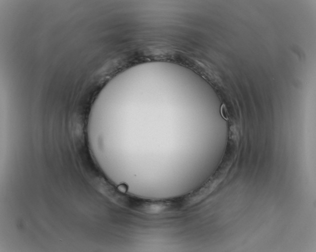 X0000113760662200910141049