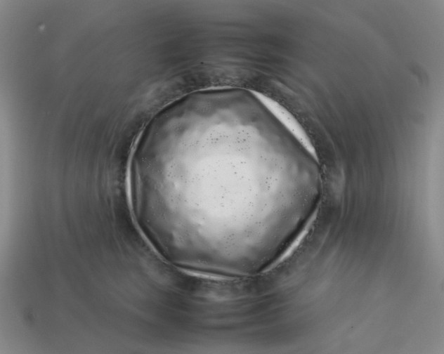 X0000113760663200910141049