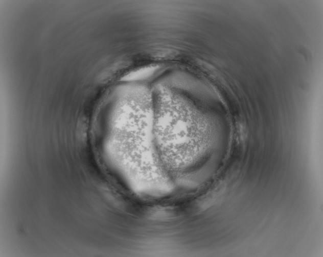 X0000113760664200910141049