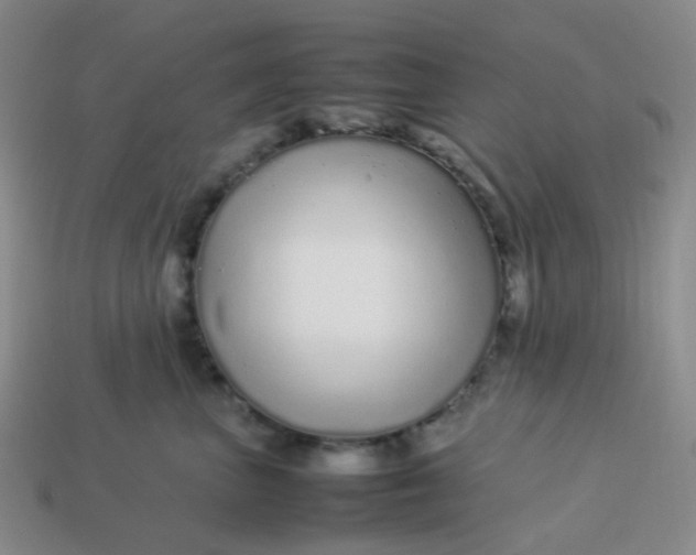 X0000113760667200910141049