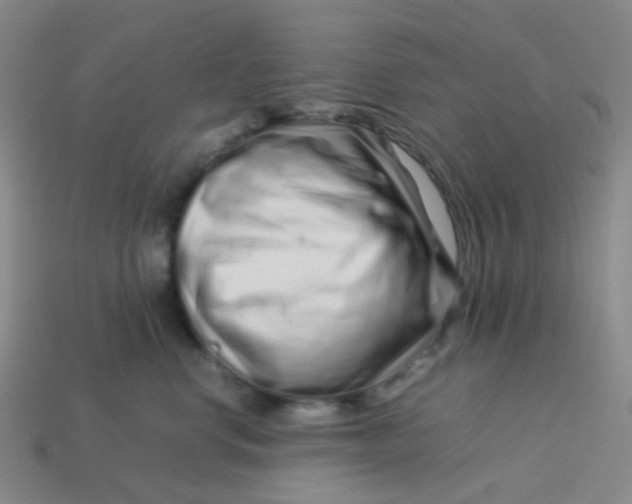 X0000113760668200910141049