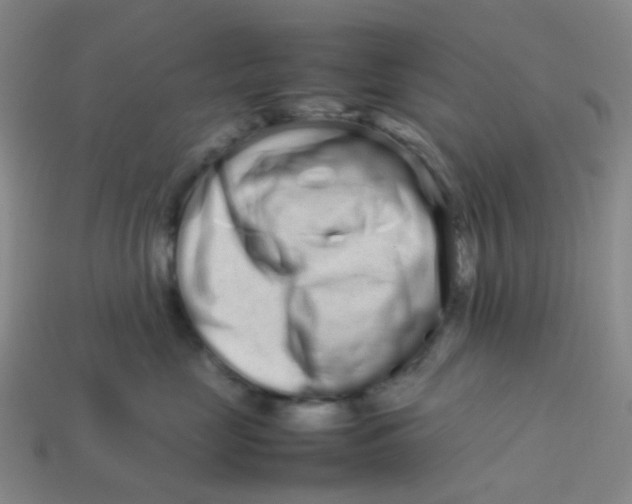 X0000113760669200910141049