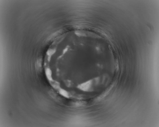 X0000113760670200910141049