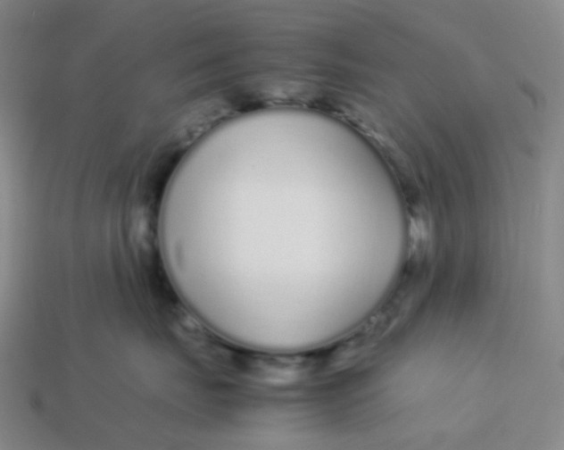 X0000113760671200910141049