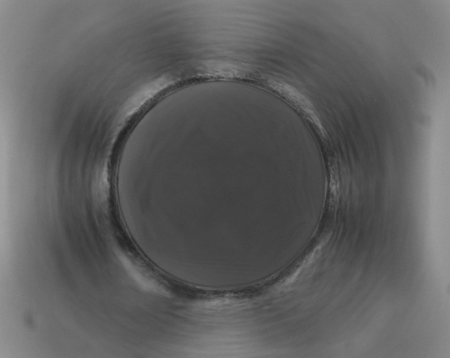 X0000113760674200910141049