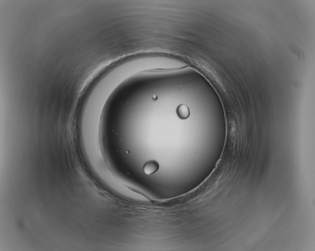 X0000113760676200910141048