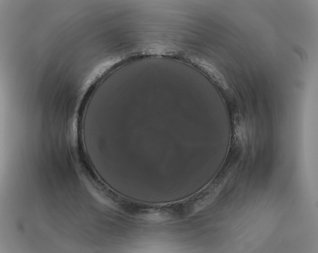 X0000113760678200910141048