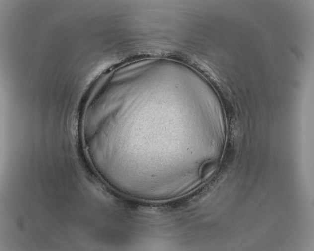 X0000113760679200910141048