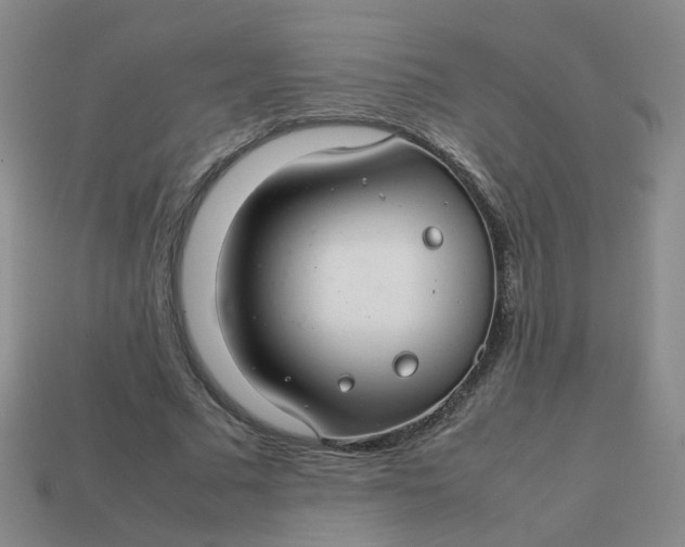 X0000113760681200910141048