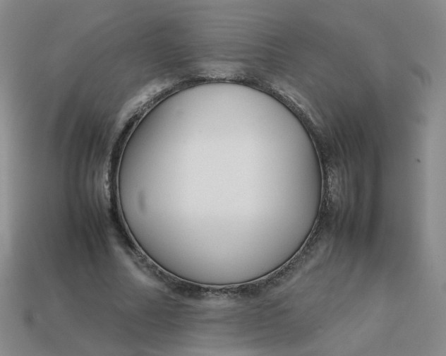 X0000113760682200910141048