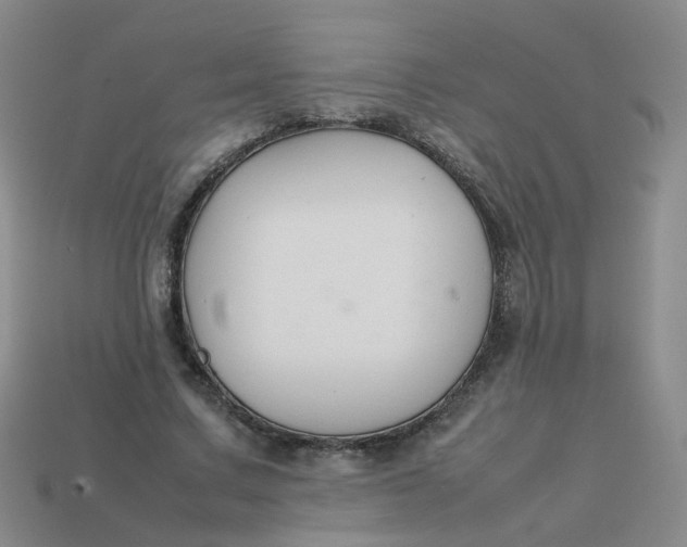 X0000113760683200910141048