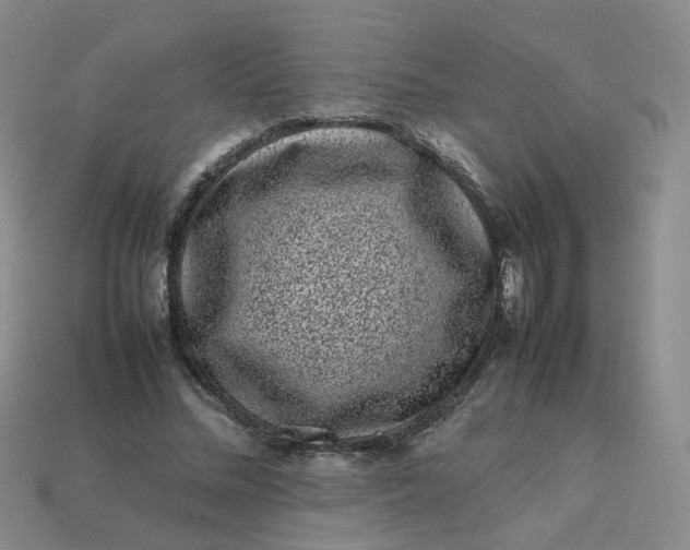 X0000113760684200910141048