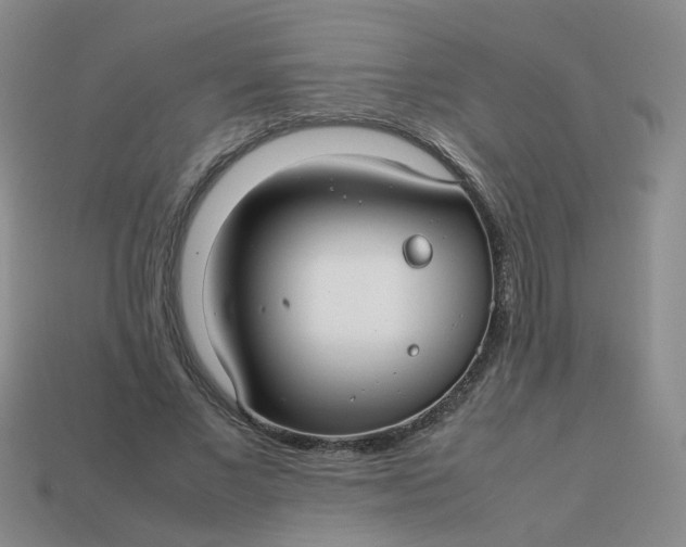 X0000113760685200910141048