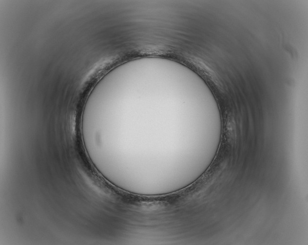 X0000113760686200910141048