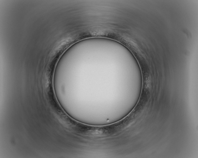 X0000113760687200910141048