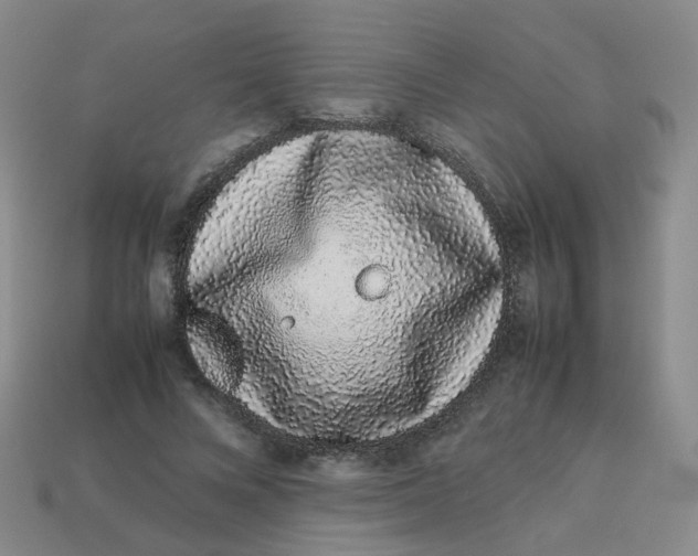 X0000113760688200910141048