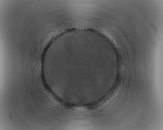 X0000113760689200910141048