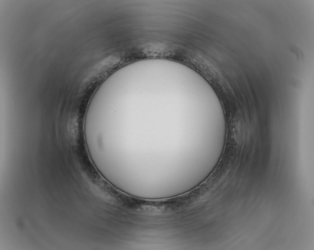 X0000113760690200910141048