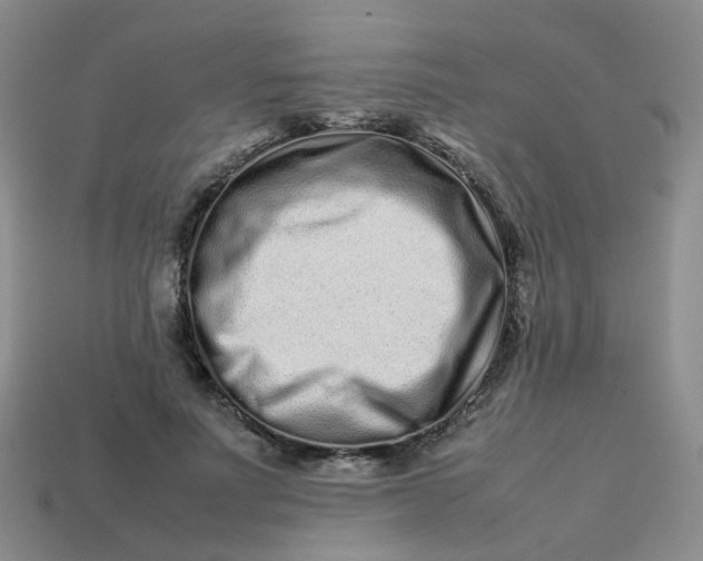 X0000113760691200910141048