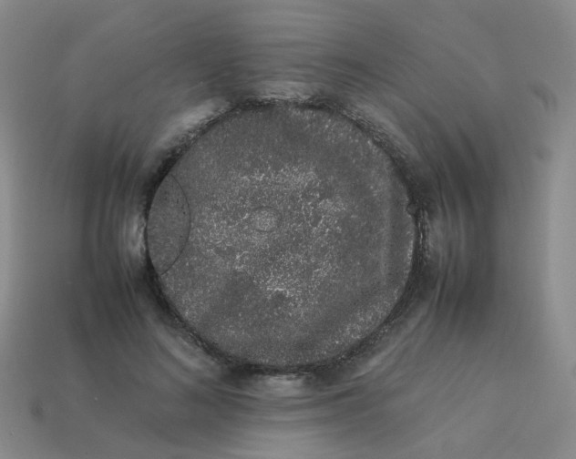 X0000113760692200910141048