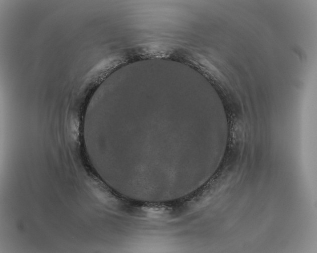 X0000113760693200910141048