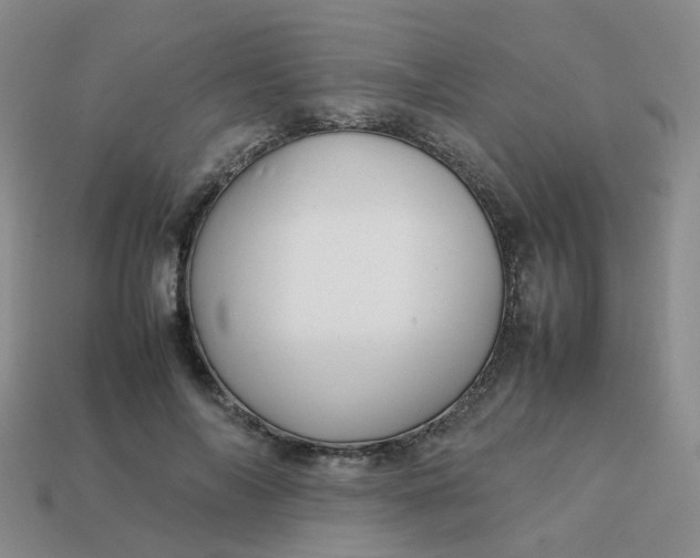 X0000113760694200910141048