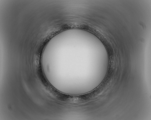 X0000113760695200910141048