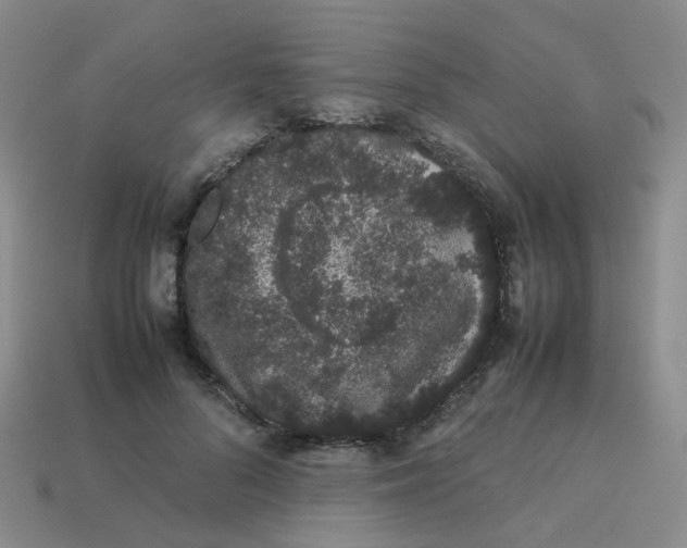 X0000113760696200910141048