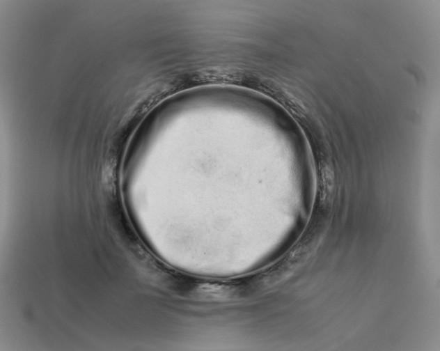 X0000113760699200910141048