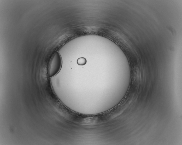 X0000113760700200910141048