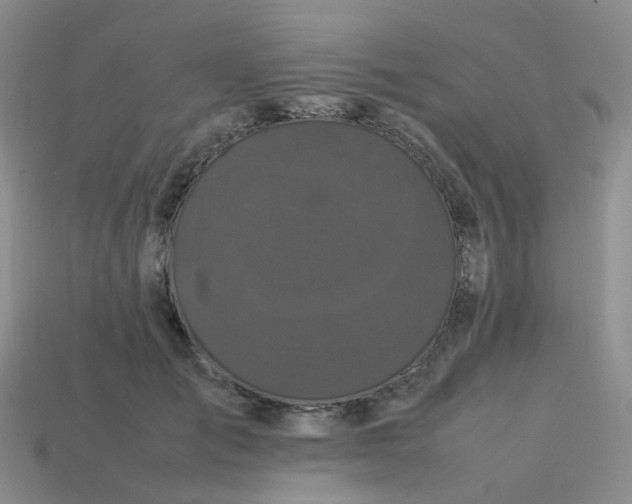 X0000113760701200910141048