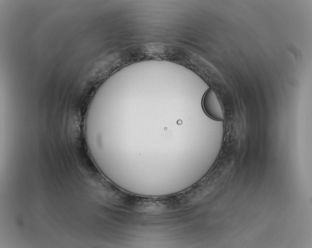 X0000113760702200910141048