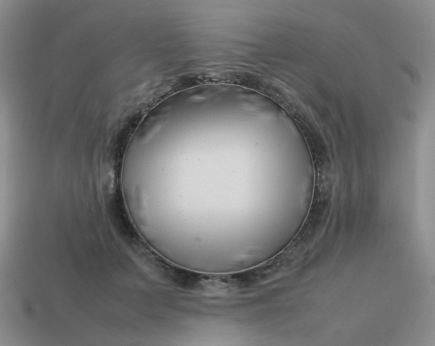 X0000113760703200910141048