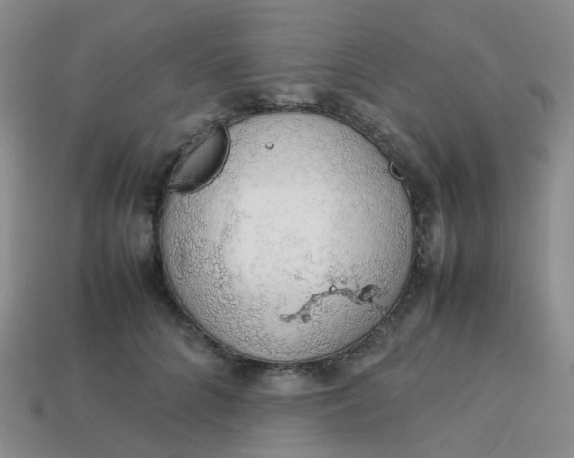 X0000113760704200910141048