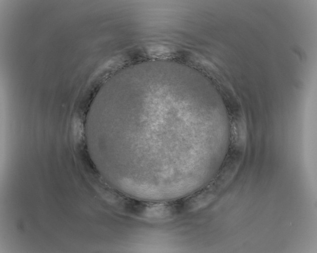 X0000113760705200910141048