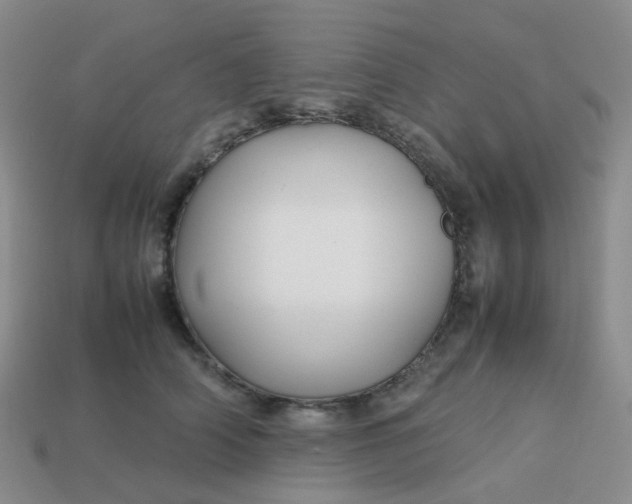 X0000113760706200910141048