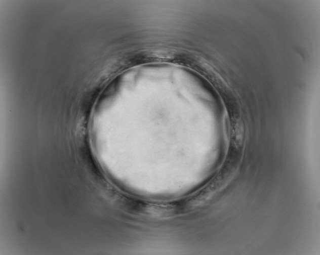 X0000113760707200910141048