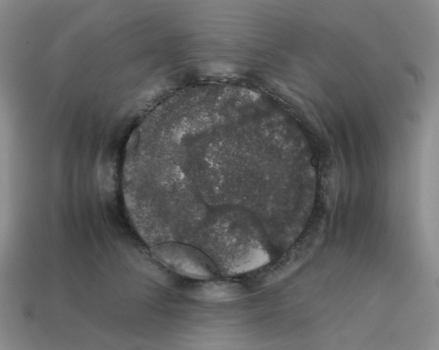 X0000113760708200910141048