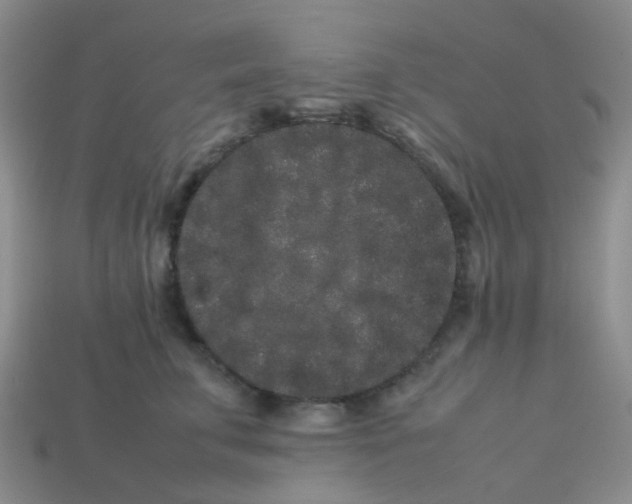 X0000113760711200910141048