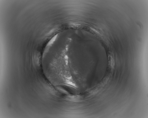 X0000113760712200910141048