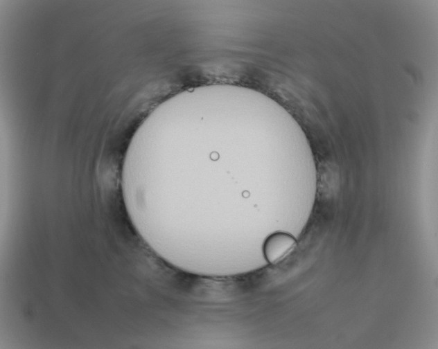 X0000113760713200910141048