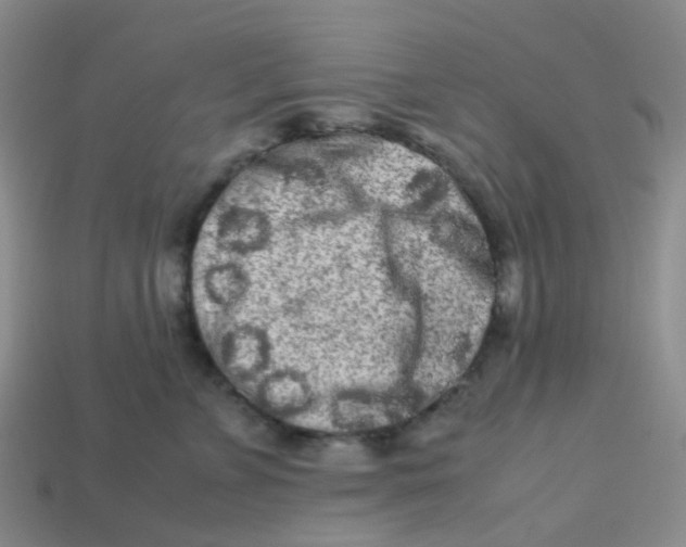 X0000113760715200910141048