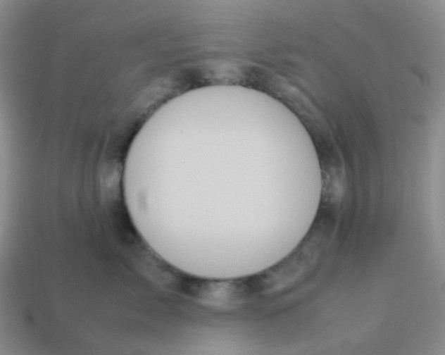 X0000113760717200910141048