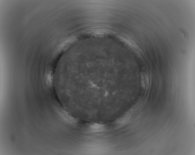 X0000113760718200910141048