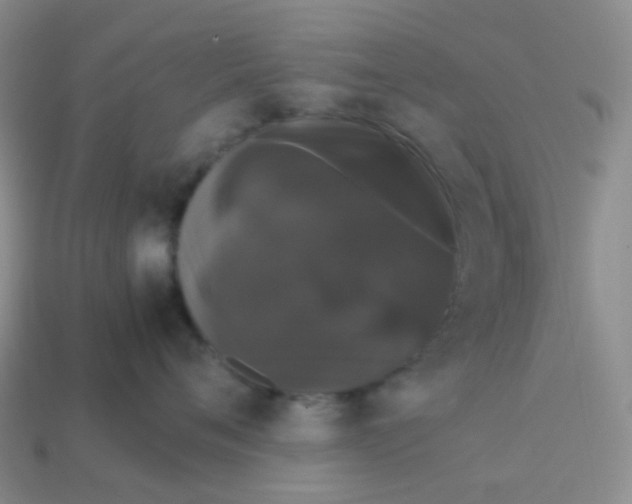 X0000113760720200910141048